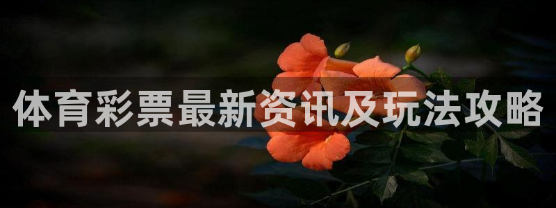必一体育是哪里的台子