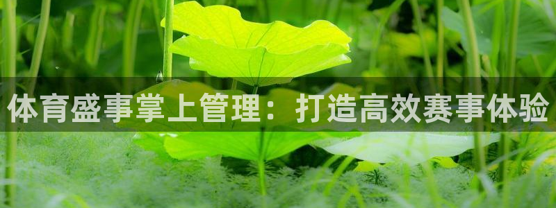 必一运动·体育：体育