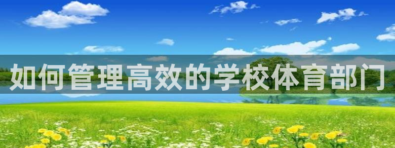 必一体育app官方正