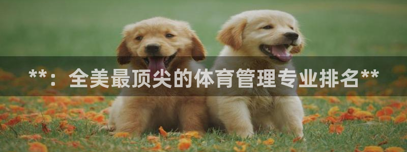 必一运动sport网页版