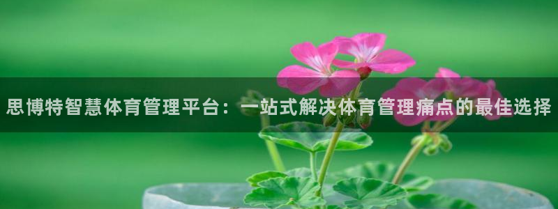 必一体育在线入口