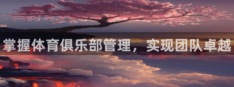 必一体育是啥