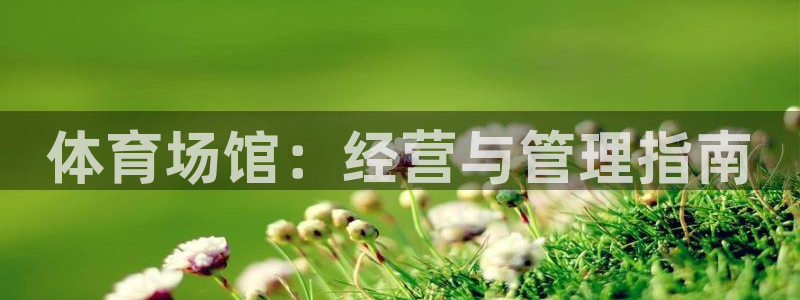 必一体育全站在线登录
