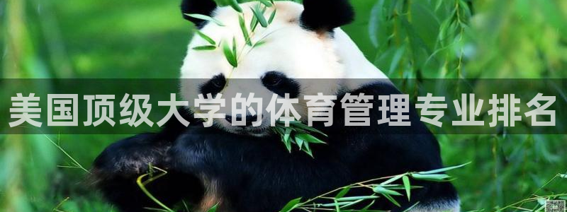 必一运动官网登录入口