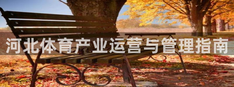 必一体育app下载装