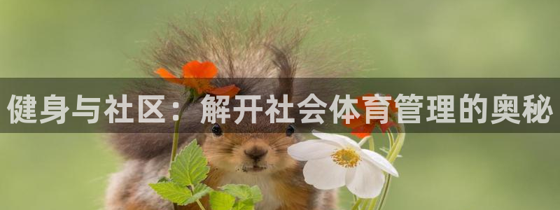 必一体育sport下
