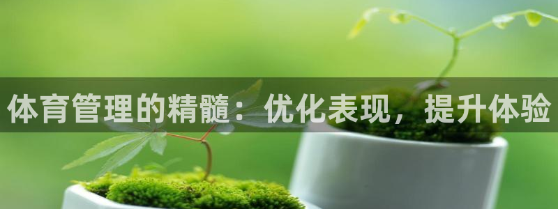 必一体育登录入口