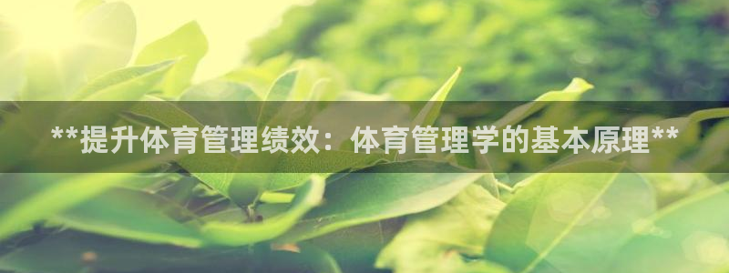 必一体育官网网站：*