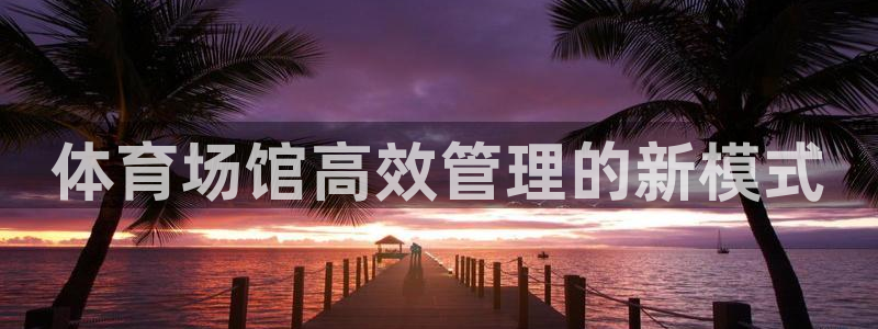 必一体育没了：体育场