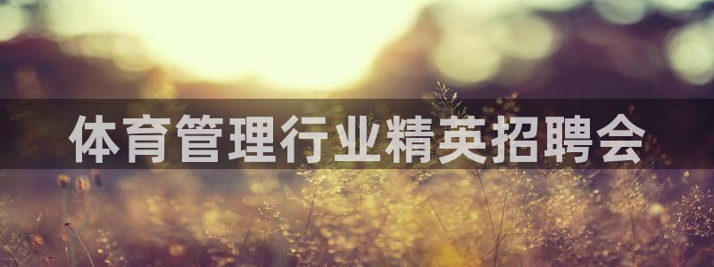 必一体育网页登录版官网