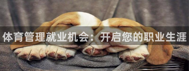 必一体育能提现大金额