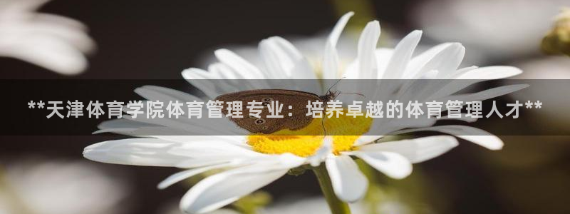必一体育官网网址：*