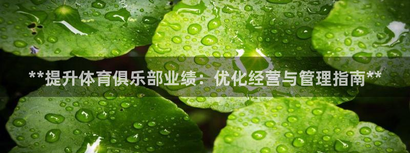 必一体育app官方下