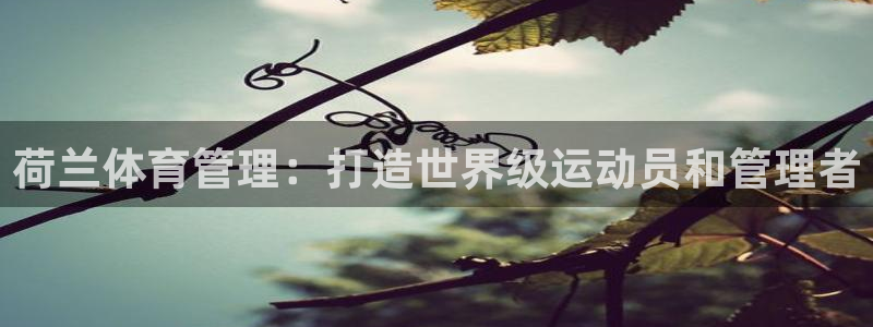 必一运动B-Sport官方网站入口