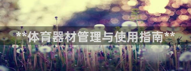 必一运动sport爱查股