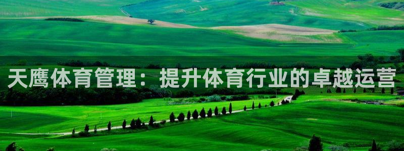必一体育下载入口