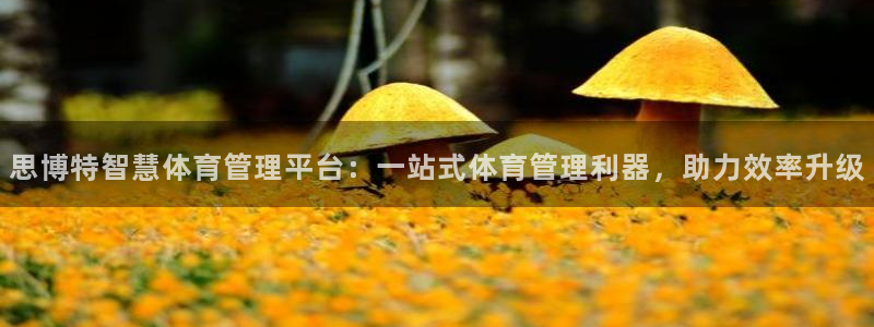 必一体育下载义：思博
