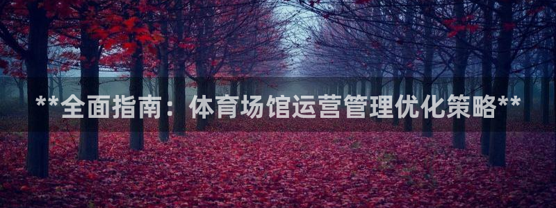 必一运动听的歌：**