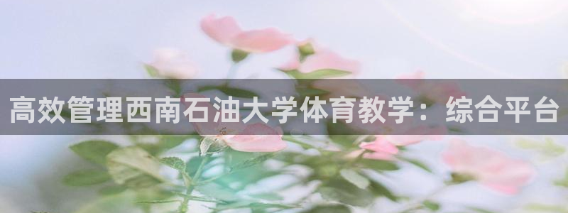 必一体育黑平台