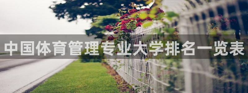 必一体育旧版