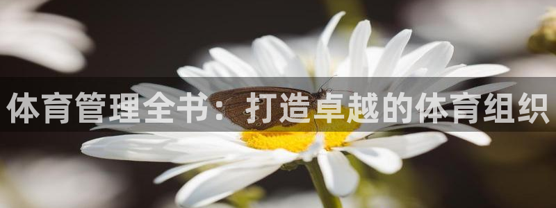 必一体育在线下载