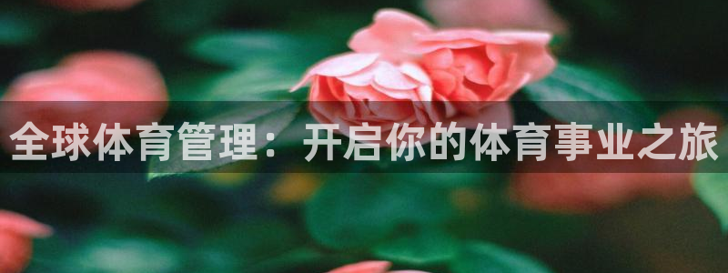 必一体育最新官网入口首页