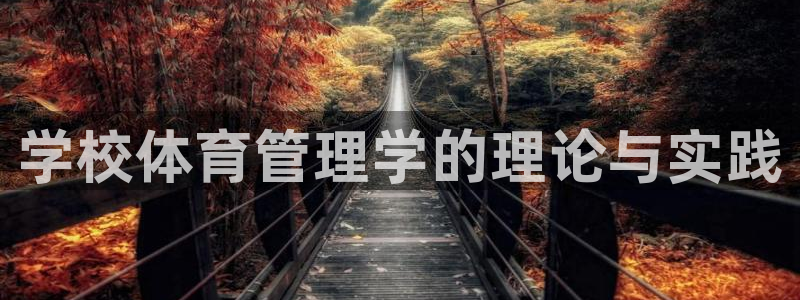 必一体育能提现大金额