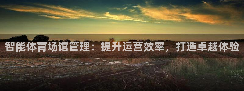 必一体育下载义