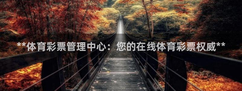 必一体育sportB