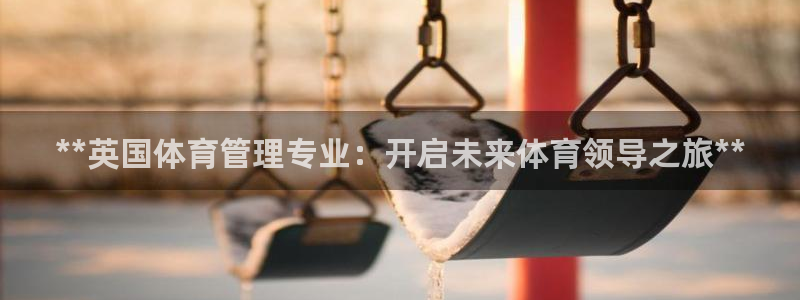 必一体育运动下载：*