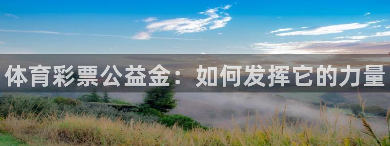 必一体育官方app下载