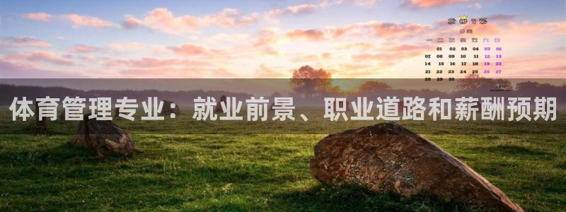 必一体育sport官