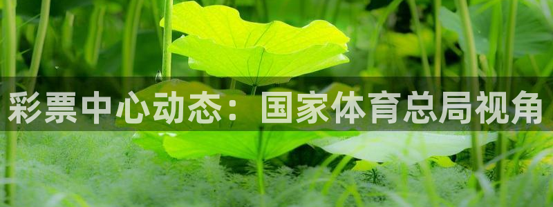 必一体育流水线是什么意思