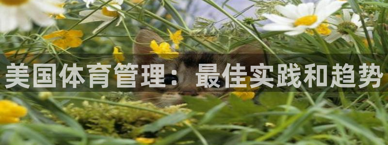 必一体育游戏特色：美