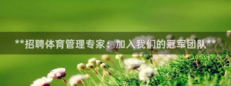 必一体育官网app：