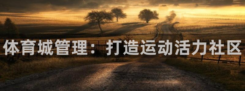 必一体育app官方网