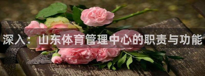 必一体育在线下载