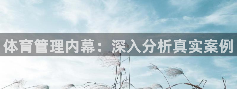 必一体育最新官网入口首页