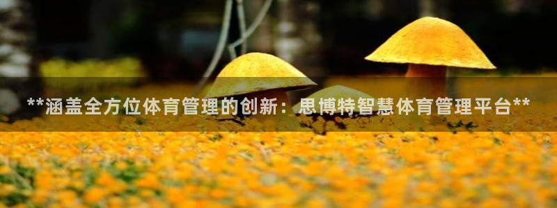 必一体育app官方下