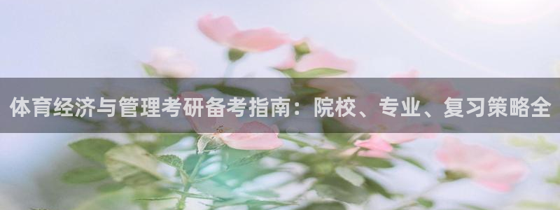 必一体育官方网站入口