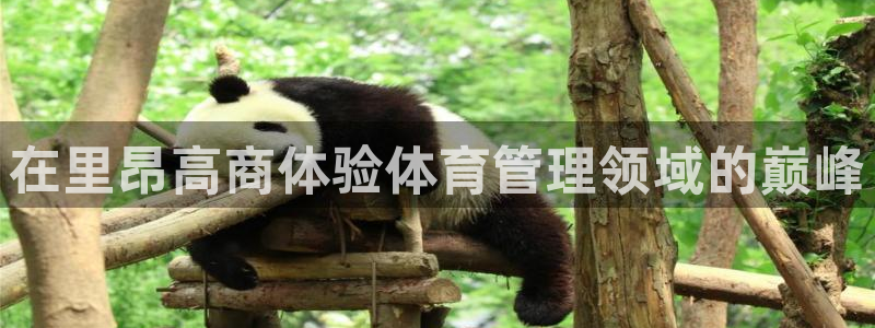 必一体育能提现大金额吗