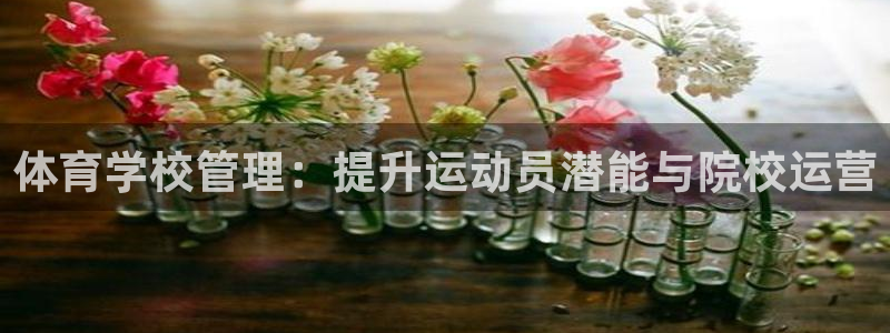 必一体育在线下载