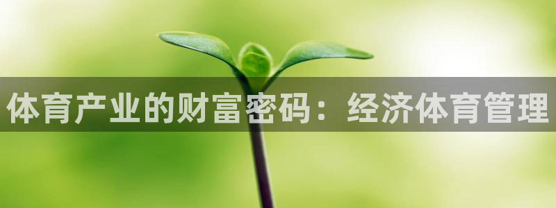必一体育app官方：