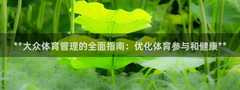 必一体育运动app下