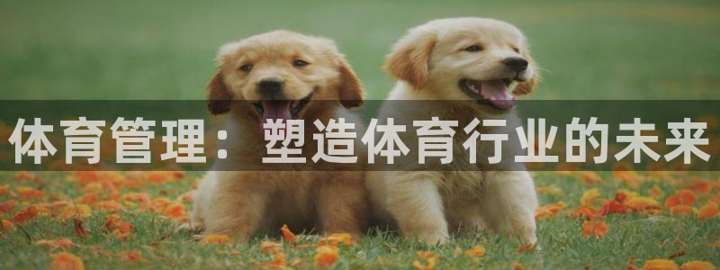 必一运动aop
