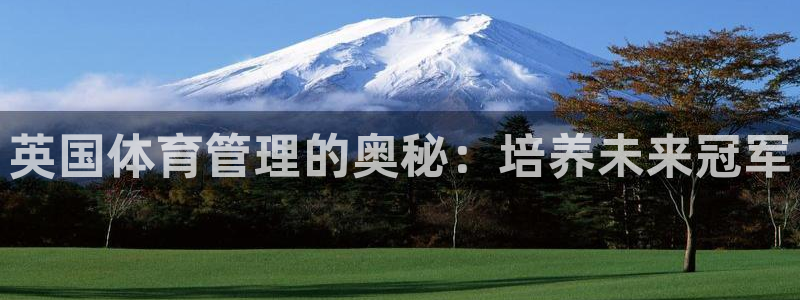 必一运动bsport