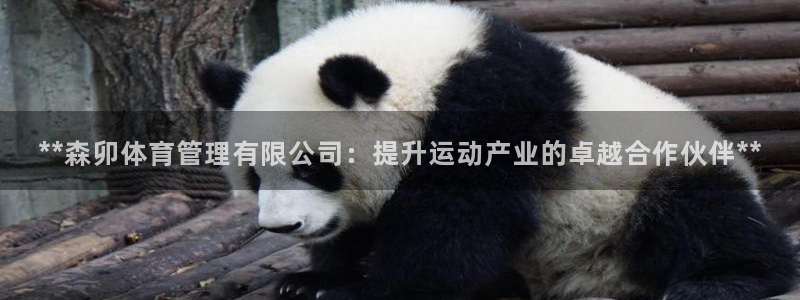 必一体育登录入口：*