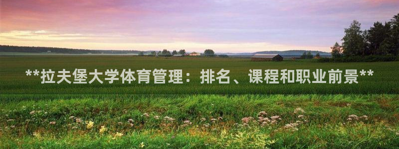 必一体育官方网站入口