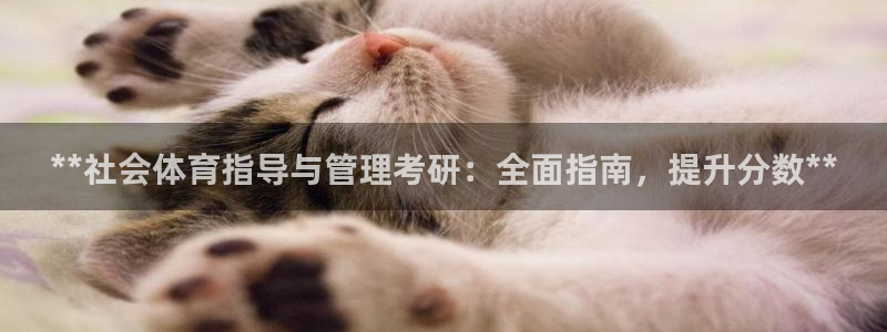 必一运动听的歌：**