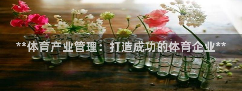 必一体育在线玩：**